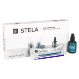 Composite autopolymérisant Stela Intro Kit SDI